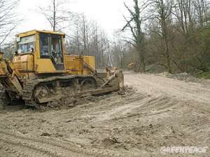 Незаконное строительство совмещённой дороги Адлер - Красная Поляна. Фото: Greenpeace