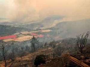 Дым от лесного пожара в районе Марафона. Фото ©AFP