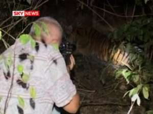 Ветеринар пытаетcя усыпить сбежавшего тигра. Кадр Sky News