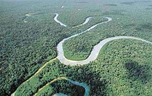 Амазония. Фото: http://gazeta.ru