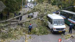Режим ЧС из-за шторма в Калининграде отменен. Фото: РИА новости