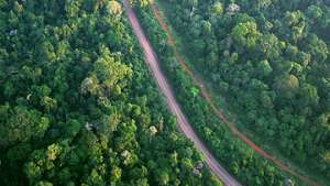 Вырубка лесов Амазонии достигла наименьшего уровня за 21 год. Фото: РИА Новости
