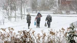 Снежный покров на европейской части России установится в конце ноября. Фото: РИА Новости