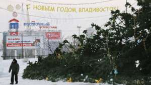 Новогодняя елка, упавшая в результате штормового ветра во Владивостоке. Фото: РИА Новости