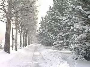 Аномальная для января погода отмечается по всей планете. Фото: Вести.Ru