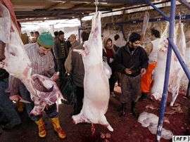 Обычай забивать во время Курбан-байрама тысячи коров и баранов - варварство, по мнению турецких защитников животных.
