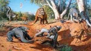 Люди стали причиной вымирания гигантских сумчатых в Австралии. Фото: РИА Новости