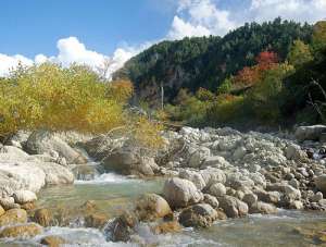 Природа Кавказа. Фото: http://kavkaz-uzel.ru/