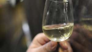 Планы энергетиков угрожают токайским винам. Фото: РИА Новости