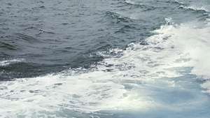 Береговая охрана Швеции третьи сутки ищет контейнеры с опасным грузом. Фото: РИА Новости