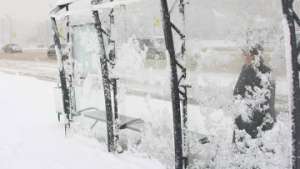 Снегопады. Фото: РИА Новости