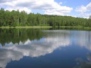 Озеро. Архив http://www.znaikak.ru
