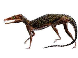 Круротарзан Pedeticosaurus leviseuri. Иллюстрация пользователя Smokeybjb с сайта wikipedia.org