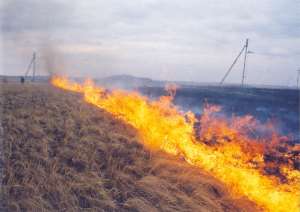 Пожар. Горит трава. Фото: http://www.redbook.ru
