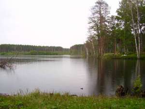 Озеро. Архив. Фото: http://seliane.ru