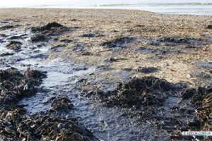 Нефтяные пятна на побережье. Фото: http://nr2.ru