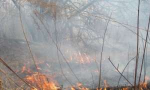 Лесной пожар. Фото: http://deita.ru