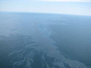 До сих пор отсутствуют точные оценки того, сколько нефти оказалось выброшенной на сегодняшний день в воды залива. По заявлениям British Petroleum, масштабы утечки составляют примерно 5 тыс. баррелей в день. Фото: http://www.bellona.ru