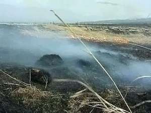 В Магаданской области горит тайга. Фото: Вести.Ru