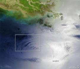 Разлив нефти в Мексиканском заливе. Фото: http://science.compulenta.ru/