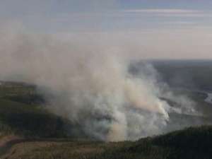 В Бурятии бушуют лесные пожары. Фото: Вести.Ru
