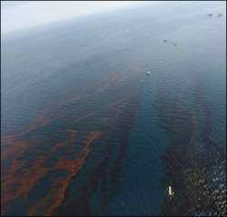 Разлив нефти. Фото: http://mignews.com.ua