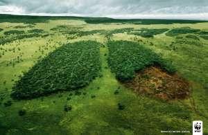Экологическая реклама WWF. Фото с сайта http://trendsupdates.com/