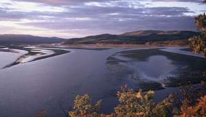Река Амур. Фото: http://www.worldwildlife.org