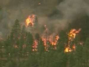 Аризона не может справиться с лесными пожарами. Фото: Вести.Ru