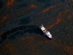 Пятно нефти в Мексиканском заливе. Фото (с)AFP