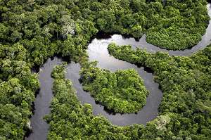 Леса и реки нашей планеты. Фото: http://science.compulenta.ru