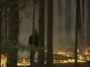 Лесными пожарами охвачена большая часть России. Фото: Вести.Ru