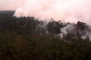 Лесные пожары. Фото: http://vesti.kz