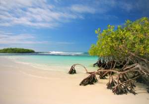 Галапагосские острова. Фото: http://intelligent.lv