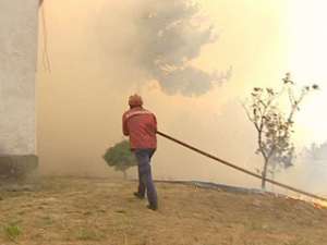 В Португалии набирают силу лесные пожары. Фото: Вести.Ru