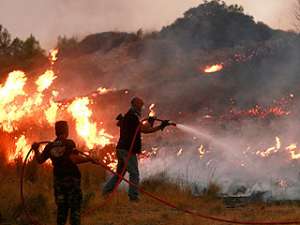Лесные пожары в Брянской области. Фото: ГУ МЧС России по Брянской области