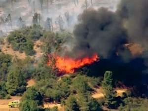 В Калифорнии сотни пожарных тушат лесной пожар. Фото: Вести.Ru