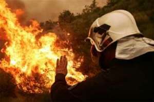 Лесные пожары. Фото: http://www.planetanews.ru