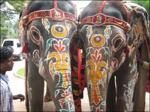 В Индии даже слоны наводят макияж. Фото: http://naviny.by