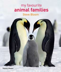 Обложка книги «Мои любимые семьи животных» Стива Блума