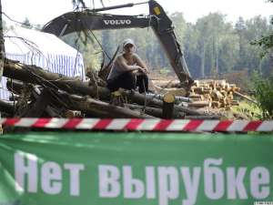 Вырубка Химкинского леса. Фото: http://svobodanews.ru