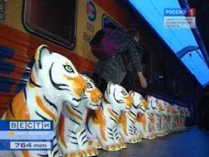 В Петербурге вчера прошла акция в защиту тигров. Фото: Вести.Ru