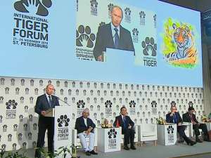 Владимир Путин на &quot;Тигрином саммите&quot;. Фото: Вести.Ru