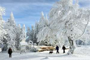 Настоящая зима пришла в Северное полушарие. Фото: http://bigpicture.ru