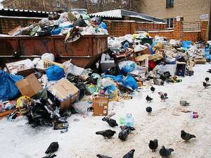 Жуковский тонет в мусоре. Фото: http://www.mk.ru