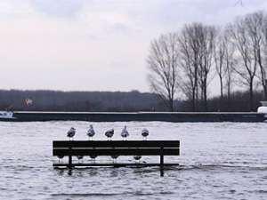 Рейн и его притоки затопили прибрежные города. Фото ©AFP