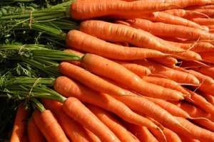 Морковь. Фото: http://leloo.com.ua