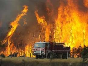 Лесные пожары в Австралии. Фото: http://telegraf.by