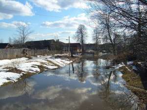 Весенний паводок. Фото: http://ngs.ru