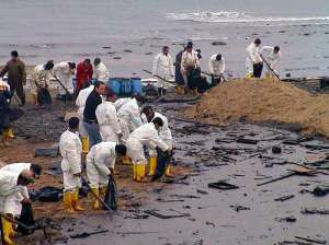 Очистка побережья Мексиканского залива. Фото: http://www.zagranhouse.ru